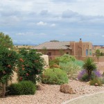 Backyard Design by Dooley Landscape Design