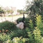 Landscape Design by Dooley Landscape Design