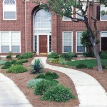 Backyard Design by Dooley Landscape Design